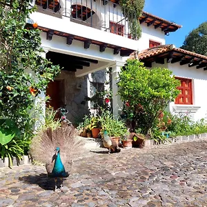 Hotel Y Jardines Casa Buho, Antigua